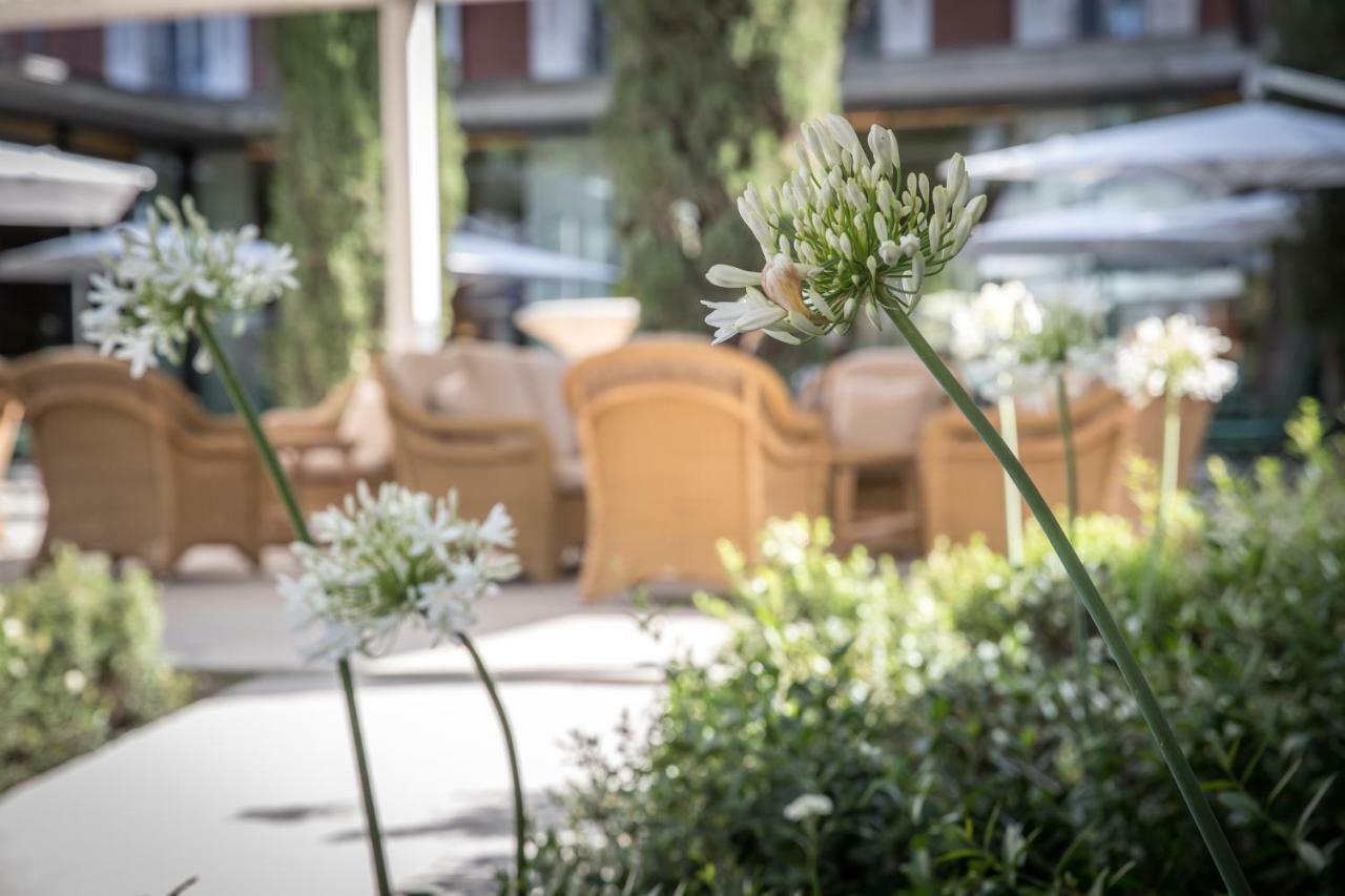 Maison Albar Hotels L'Imperator Nimes Exterior photo The hotel's garden